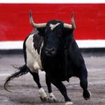 Bilbao, 25 de agosto de 2018