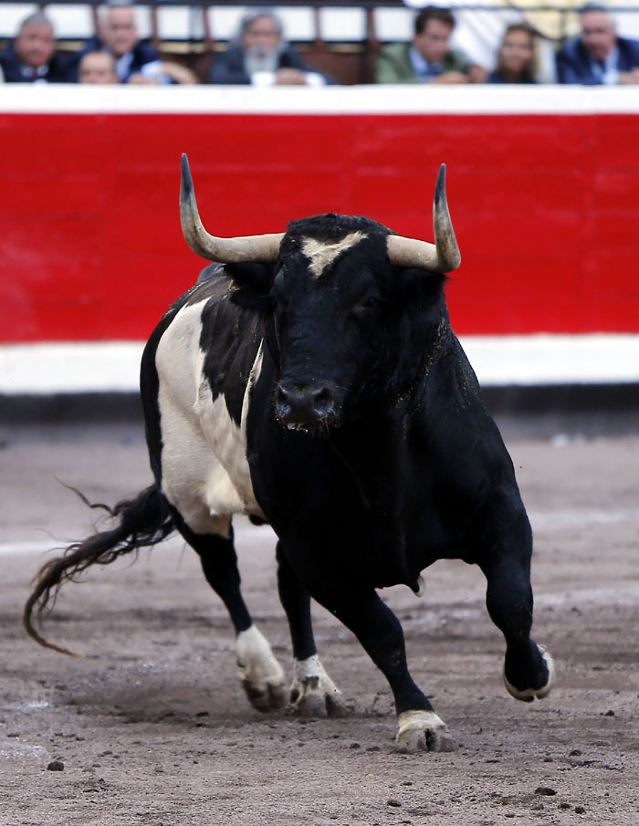 Bilbao, 25 de agosto de 2018