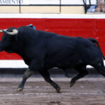 Bilbao, 25 de agosto de 2018