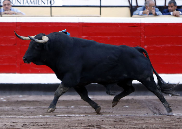 Bilbao, 25 de agosto de 2018