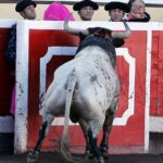 Bilbao, 26 de agosto de 22018