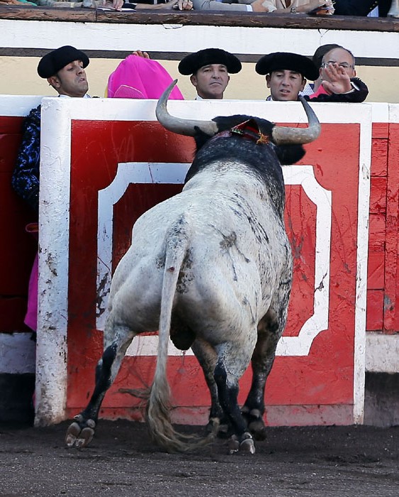 Bilbao, 26 de agosto de 22018