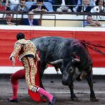 Bilbao, 26 de agosto de 22018