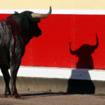 Bilbao, 26 de agosto de 22018