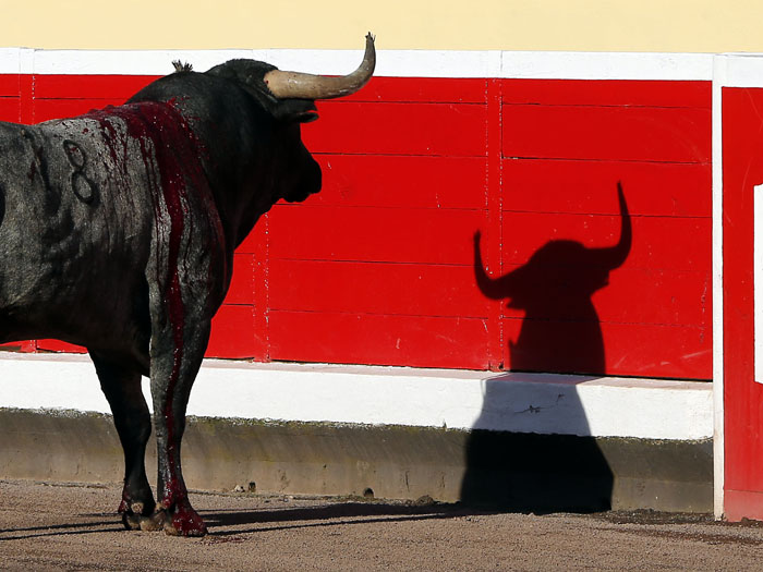 Bilbao, 26 de agosto de 22018