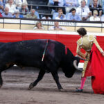 Bilbao, 26 de agosto de 22018