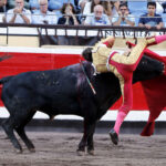 Bilbao, 26 de agosto de 22018