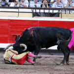 Bilbao, 26 de agosto de 22018