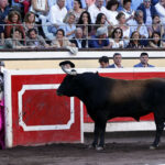 Bilbao, 26 de agosto de 22018