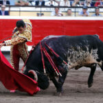 Bilbao, 26 de agosto de 22018