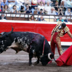 Bilbao, 26 de agosto de 22018