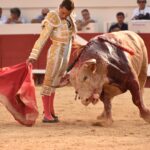 Beziers - Corrida de toros - Domingo 12 de agosto de 2018