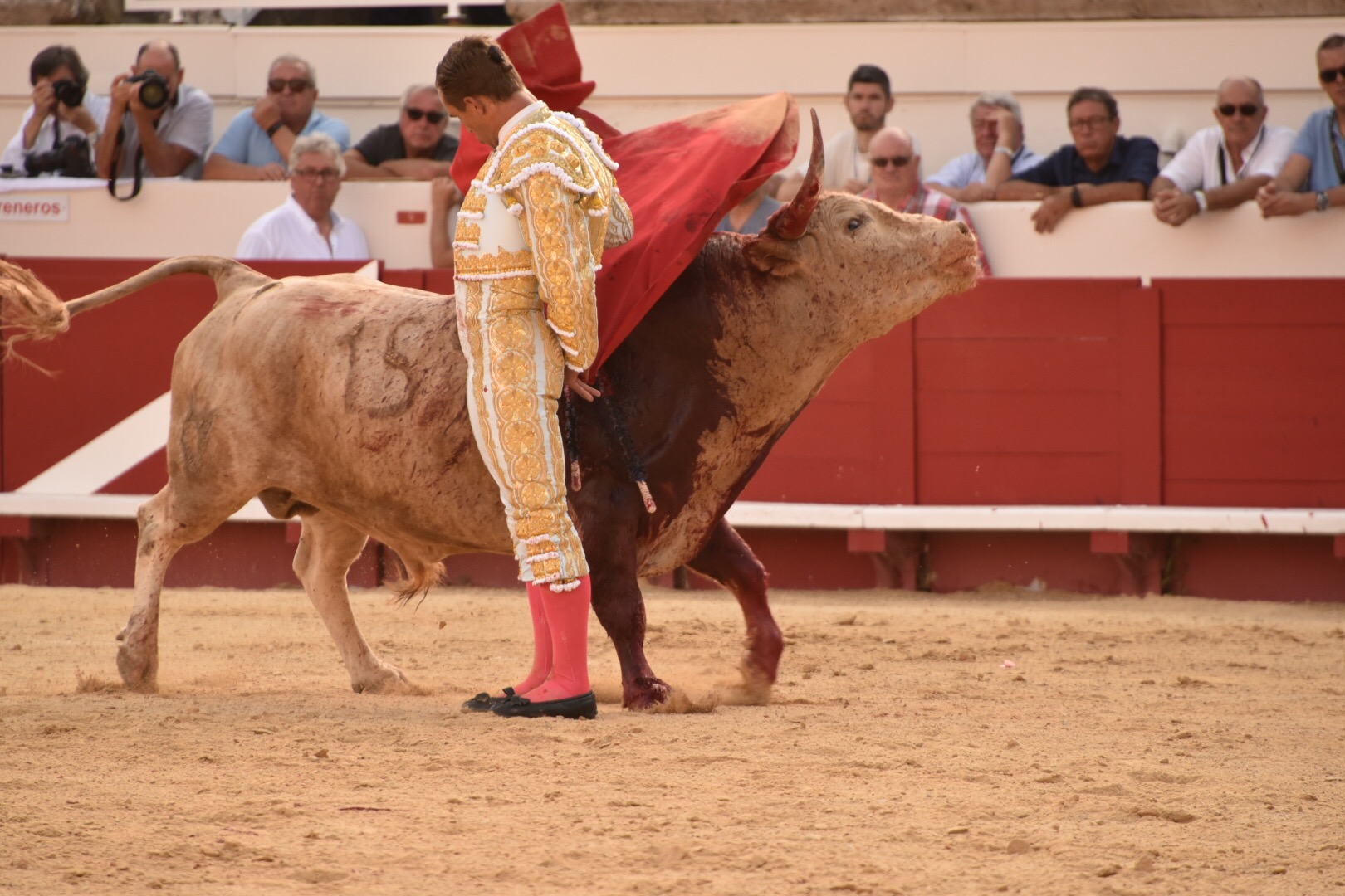 Beziers - Corrida de toros - Domingo 12 de agosto de 2018