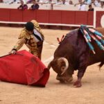 Beziers - Corrida de toros - Domingo 12 de agosto de 2018