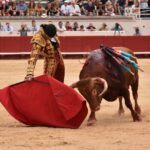 Beziers - Corrida de toros - Domingo 12 de agosto de 2018