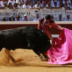 Dax - Corrida de toros - Matinal - Domingo 12 de agosto de 2018
