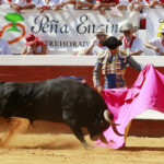 Dax - Corrida de toros - Matinal - Domingo 12 de agosto de 2018