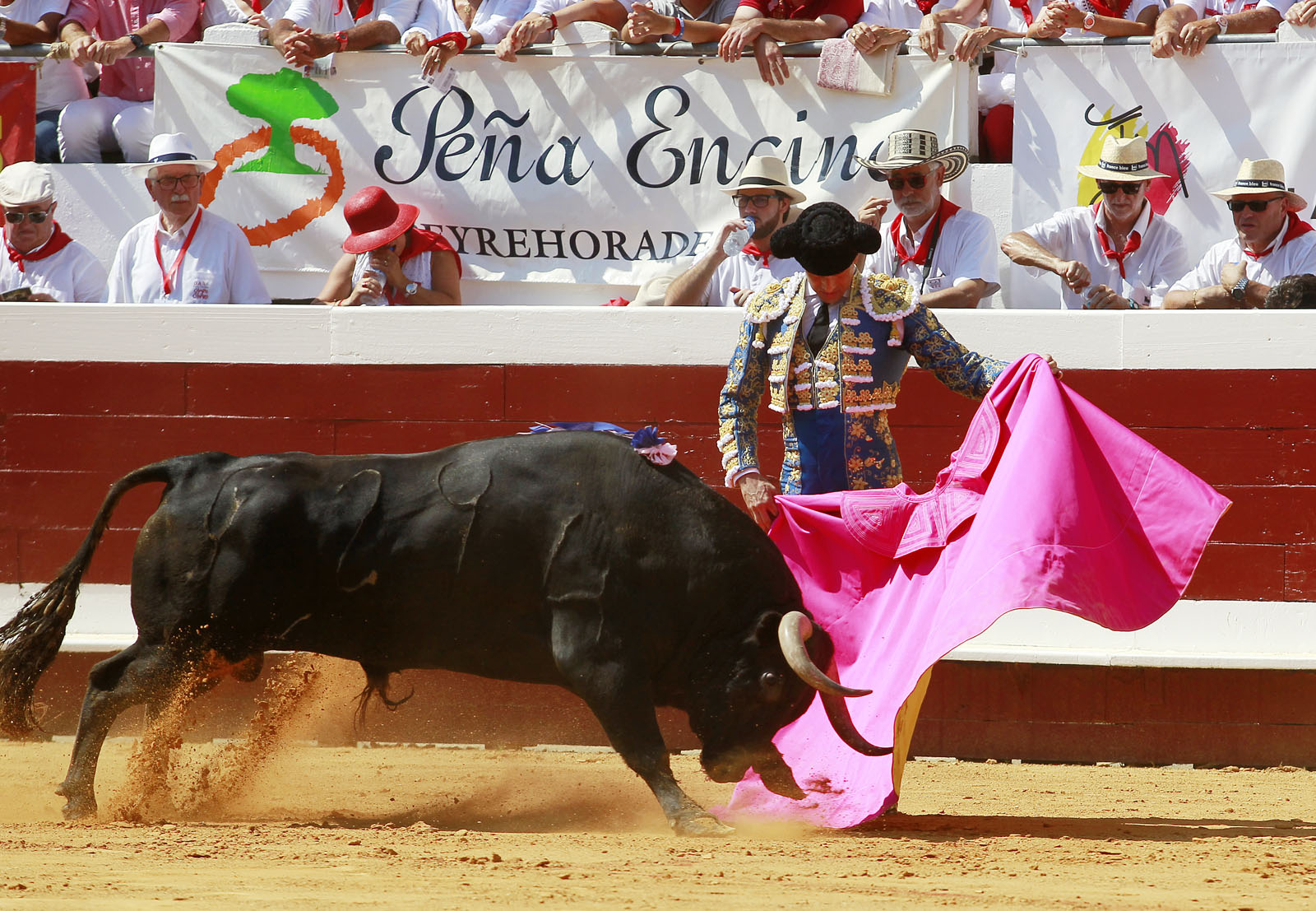 Dax - Corrida de toros - Matinal - Domingo 12 de agosto de 2018