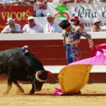 Dax - Corrida de toros - Matinal - Domingo 12 de agosto de 2018