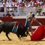 Dax - Corrida de toros - Matinal - Domingo 12 de agosto de 2018