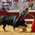 Dax - Corrida de toros - Matinal - Domingo 12 de agosto de 2018