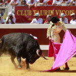 Dax - Corrida de toros - Matinal - Domingo 12 de agosto de 2018