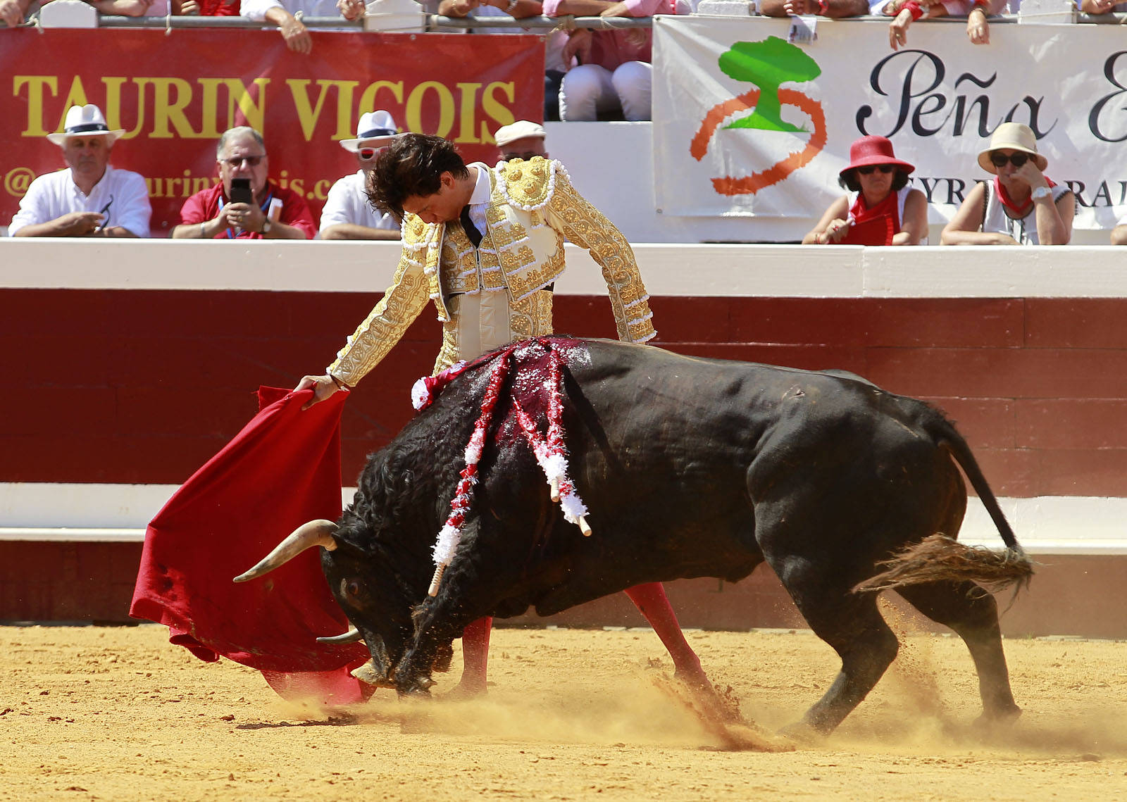Dax - Corrida de toros - Matinal - Domingo 12 de agosto de 2018