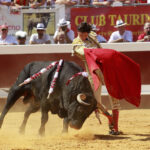 Dax - Corrida de toros - Matinal - Domingo 12 de agosto de 2018