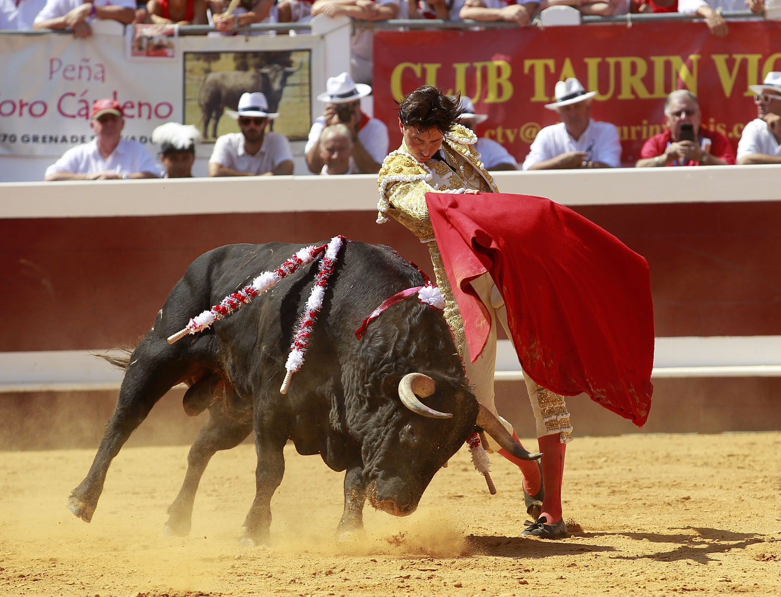 Dax - Corrida de toros - Matinal - Domingo 12 de agosto de 2018