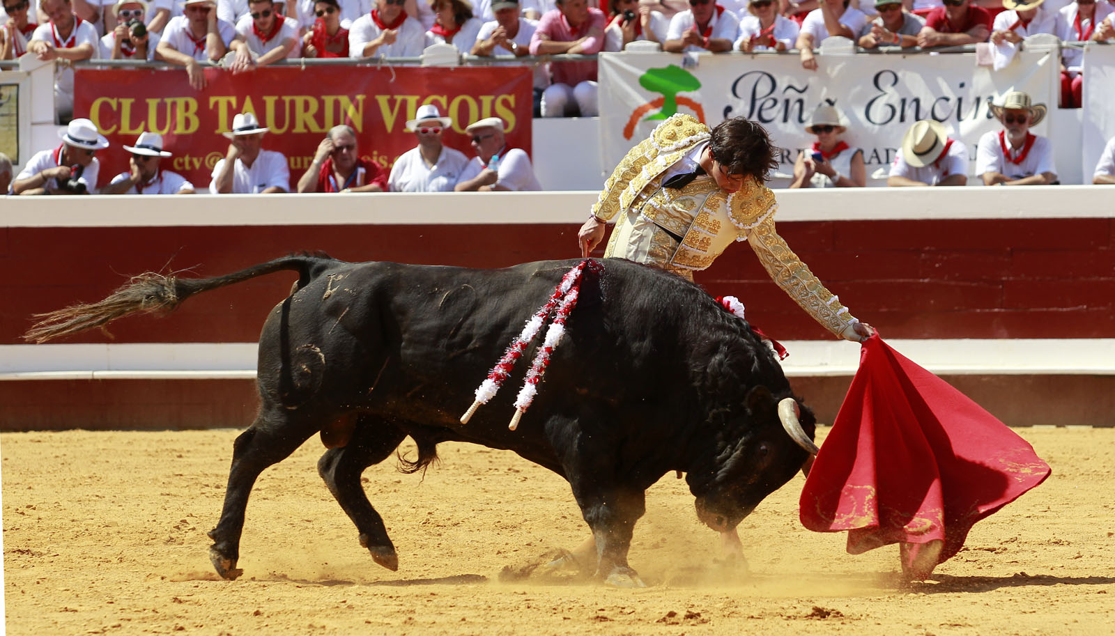 Dax - Corrida de toros - Matinal - Domingo 12 de agosto de 2018