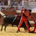 Dax - Corrida de toros - Matinal - Domingo 12 de agosto de 2018