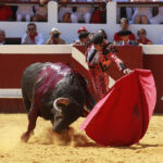 Dax - Corrida de toros - Matinal - Domingo 12 de agosto de 2018