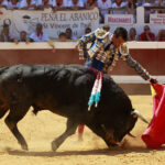Dax - Corrida de toros - Matinal - Domingo 12 de agosto de 2018