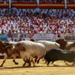 Dax - Corrida de toros - Matinal - Domingo 12 de agosto de 2018