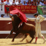 Dax - Corrida de toros - Matinal - Domingo 12 de agosto de 2018