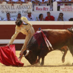 Dax - Corrida de toros - Matinal - Domingo 12 de agosto de 2018