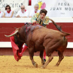 Dax - Corrida de toros - Tarde - Domingo 12 de agosto de 2018