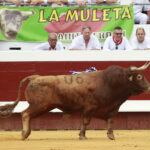 Dax - Corrida de toros - Tarde - Domingo 12 de agosto de 2018