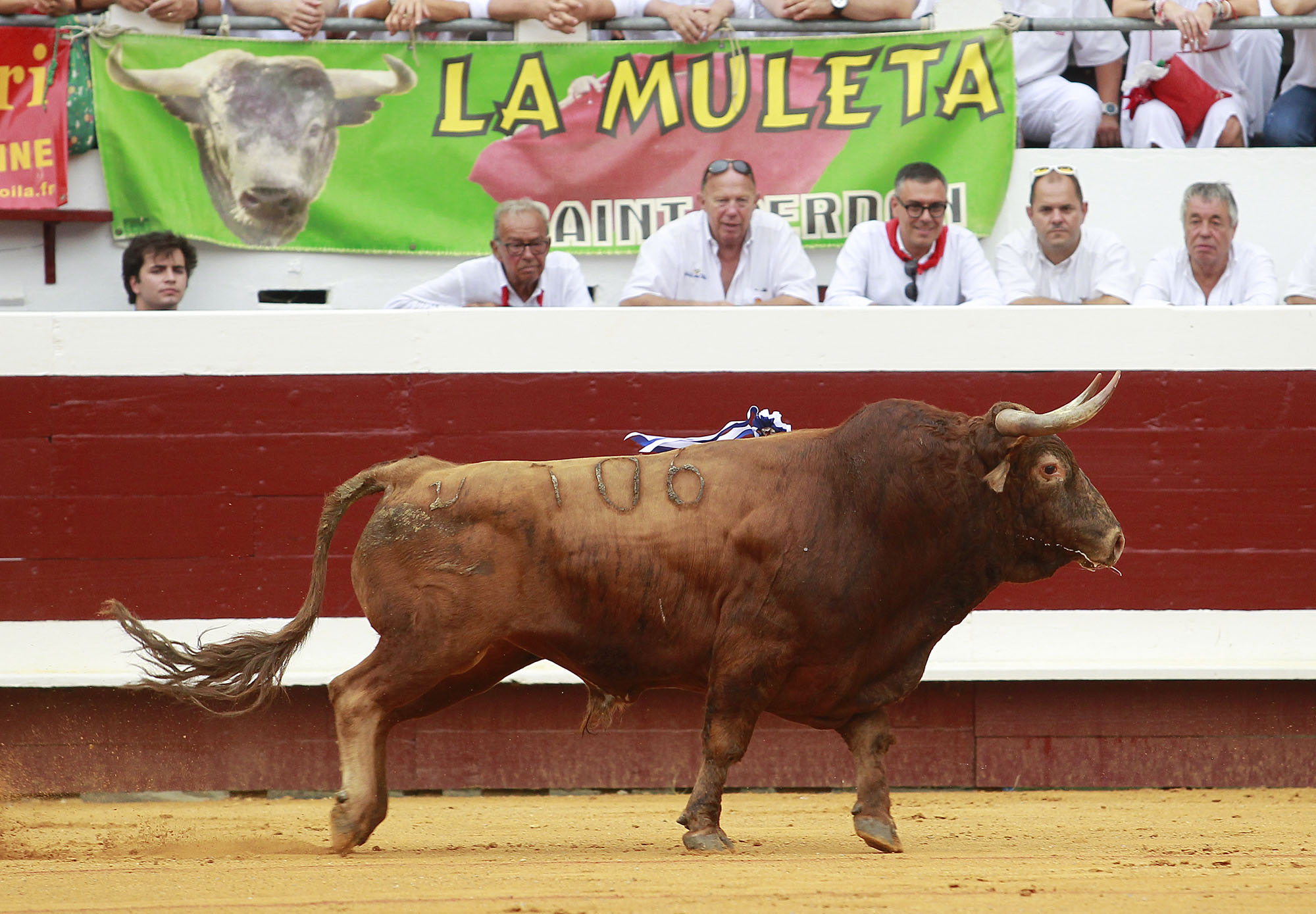 Dax - Corrida de toros - Tarde - Domingo 12 de agosto de 2018