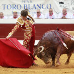 Dax - Corrida de toros - Tarde - Domingo 12 de agosto de 2018
