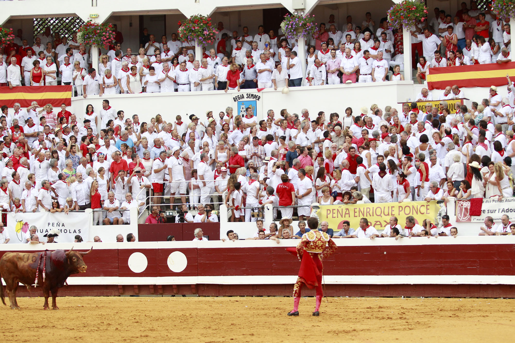 Dax - Corrida de toros - Tarde - Domingo 12 de agosto de 2018
