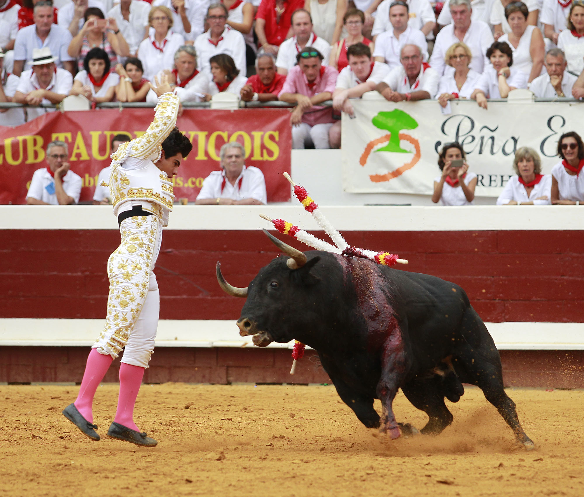 Dax - Corrida de toros - Tarde - Domingo 12 de agosto de 2018