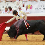 Dax - Corrida de toros - Tarde - Domingo 12 de agosto de 2018