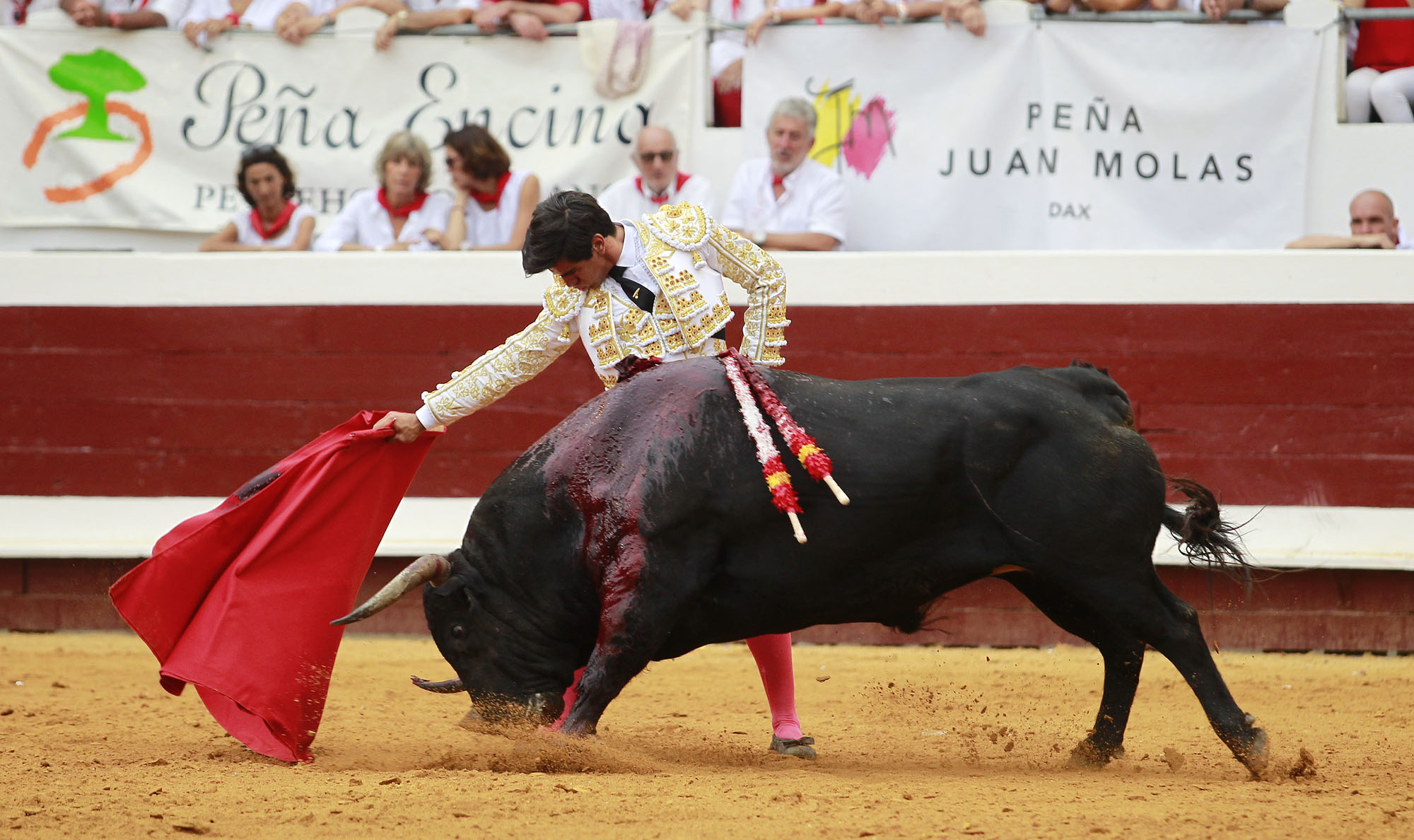 Dax - Corrida de toros - Tarde - Domingo 12 de agosto de 2018