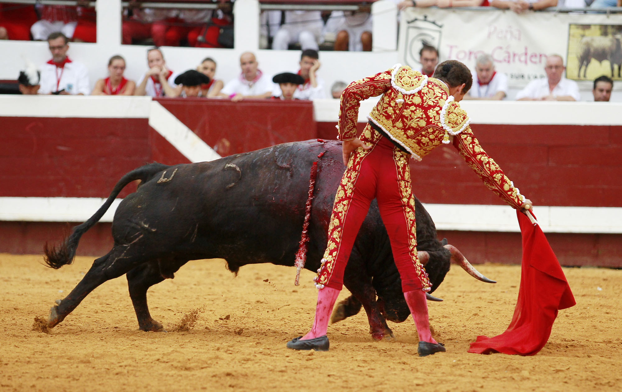 Dax - Corrida de toros - Tarde - Domingo 12 de agosto de 2018
