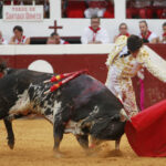 Dax - Corrida de toros - Tarde - Domingo 12 de agosto de 2018