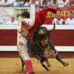 Dax - Corrida de toros - Tarde - Domingo 12 de agosto de 2018