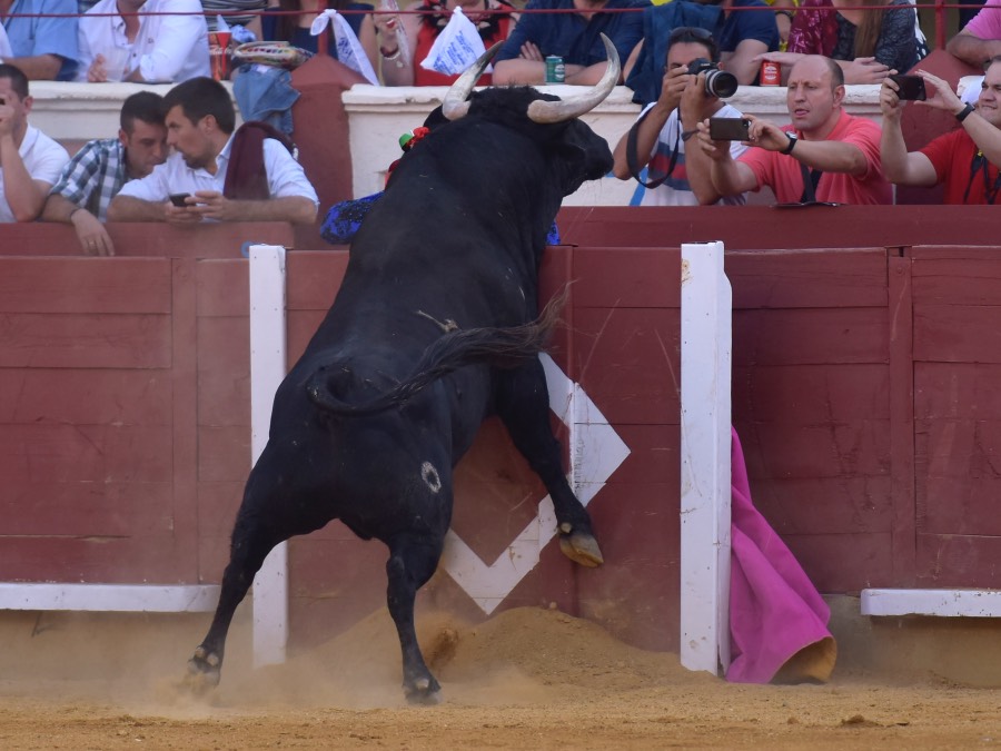 Cuenca, 18 de agosto de 2018