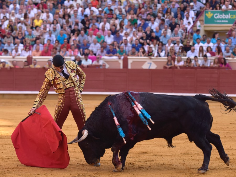Cuenca, 19 de agosto de 2018