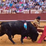 Cuenca, 19 de agosto de 2018